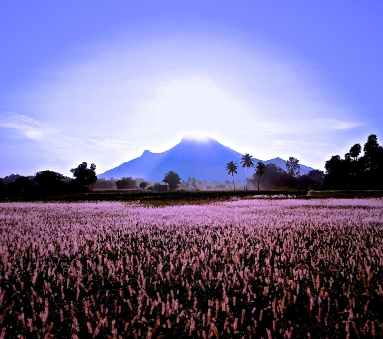 Sacred Mountain Arunachala In Southern India